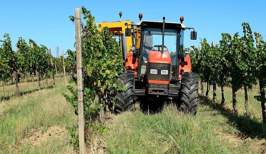 Tracteurs viticoles